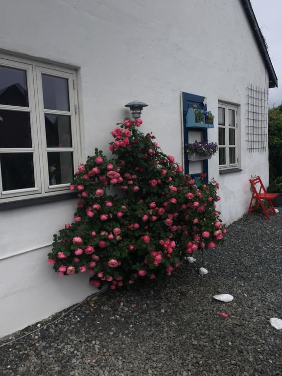 Vejle Golf Apartments Børkop Kültér fotó